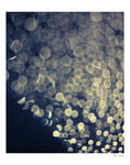 I Like The Way You Say My Name - Fine Art Photograph