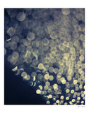 I Like The Way You Say My Name - Fine Art Photograph