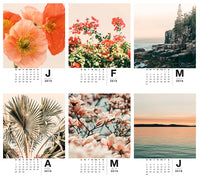Playing Favorites : 2019 Calendar