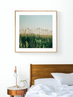 July Glow- Fine Art Photograph