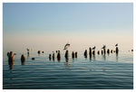 Landing - Fine Art Photograph