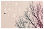 Love Laugh Live - Fine Art Photograph