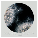 Love More (Circle) - Fine Art Photograph