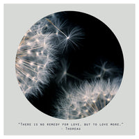 Love More (Circle) - Fine Art Photograph