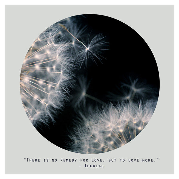 Love More (Circle) - Fine Art Photograph