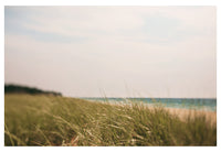Lake Michigan Beach Grass - Fine Art Photograph