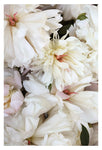 Late Season #1 - Fine Art Photograph