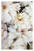 Late Season #1 - Fine Art Photograph
