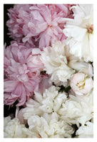 Late Season #2 - Fine Art Photograph