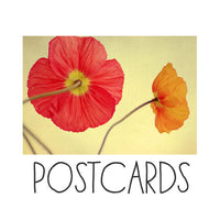 Les Jolies Fleurs - Postcards