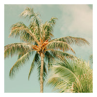 Listen To The Wind Blow - Fine Art Photograph