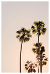Looking Forward - Fine Art Photograph