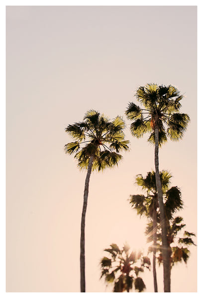 Looking Forward - Fine Art Photograph