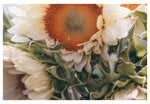 Market Flowers #1 - Fine Art Photograph