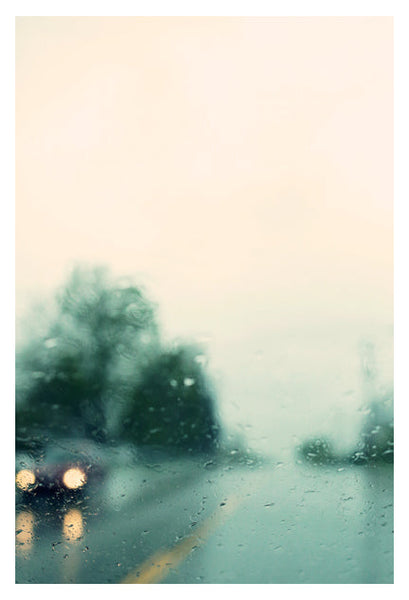 May Rain #1 - Fine Art Photograph - CM