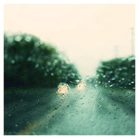 May Rain #3 - Fine Art Photograph