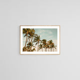 Miami Breeze - Fine Art Photograph