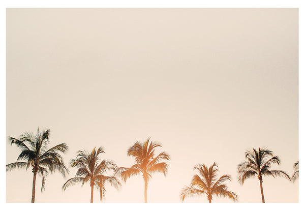 Morning Belles - Fine Art Photograph - CM