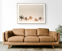 Morning Belles - Fine Art Photograph