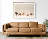 Morning Belles - Fine Art Photograph