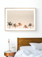 Morning Belles - Fine Art Photograph