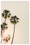 New Beginnings - Fine Art Photograph