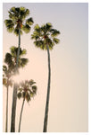 New Day - Fine Art Photograph