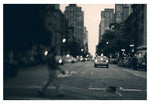 The Evening Walk - Fine Art Photograph
