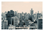The View - Fine Art Photograph