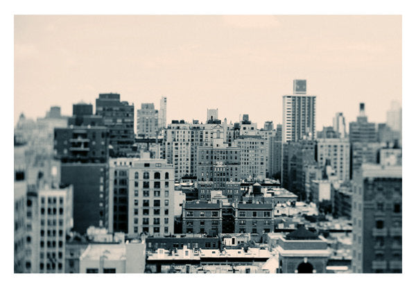 The View - Fine Art Photograph
