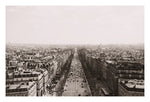 The Avenue - Fine Art Photograph