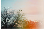 City Girls - Fine Art Photograph