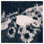 Marche Aux Fleurs - Fine Art Photograph