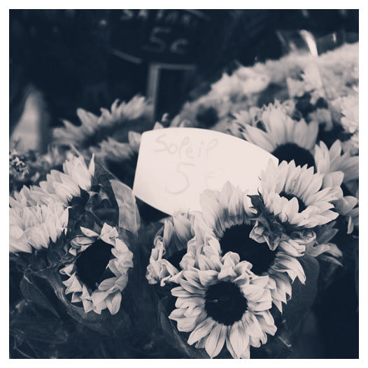 Marche Aux Fleurs - Fine Art Photograph