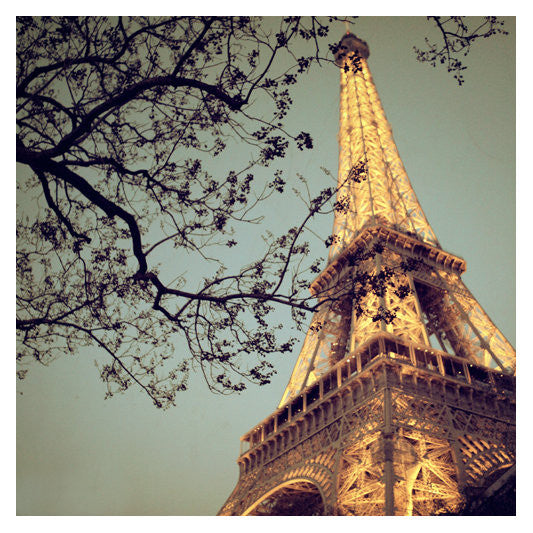 Fine art Eiffel Tower photograph by Alicia Bock.