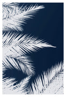 Palm Cyanotype #1 -  Fine Art Photograph