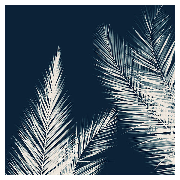 Palm Cyanotype #2 -  Fine Art Photograph
