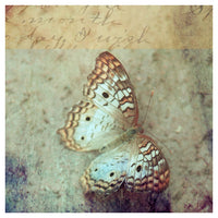 I Wish -  Fine Art Photograph