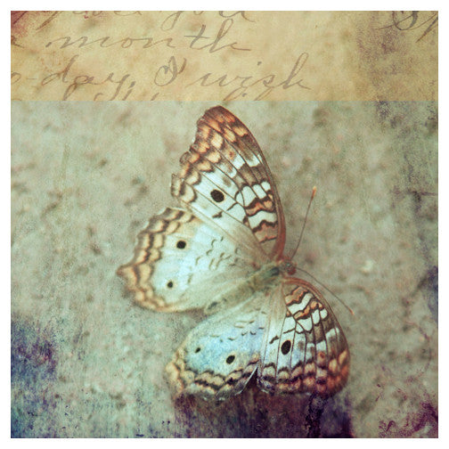 I Wish -  Fine Art Photograph