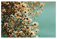 Salutations - Fine Art Photograph