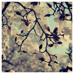 Sweet Tea - Fine Art Photograph
