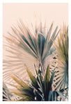 Realization - Fine Art Photograph