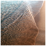 Sandy - Fine Art Photograph