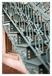 Savannah Detail #2 - Fine Art Photograph