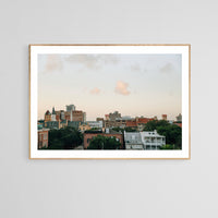 Savannah Evening - Modern Photographic Print