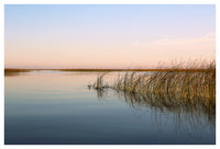 Soft Summer #1 - Fine Art Photograph