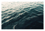 Split Decision - Fine Art Photograph