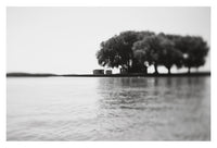Life Aquatic - Fine Art Photograph
