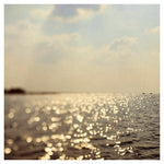 Shimmer & Shine - Fine Art Photograph