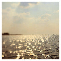Shimmer & Shine - Fine Art Photograph